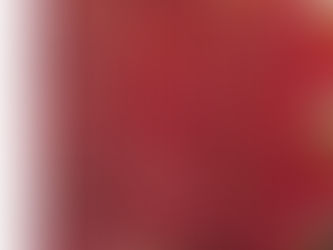 トルクメニスタンの絨毯・2