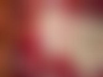 展示作品のご紹介2「変わるライオンラグ」