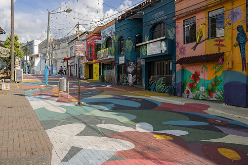 _MG_0004.jpg