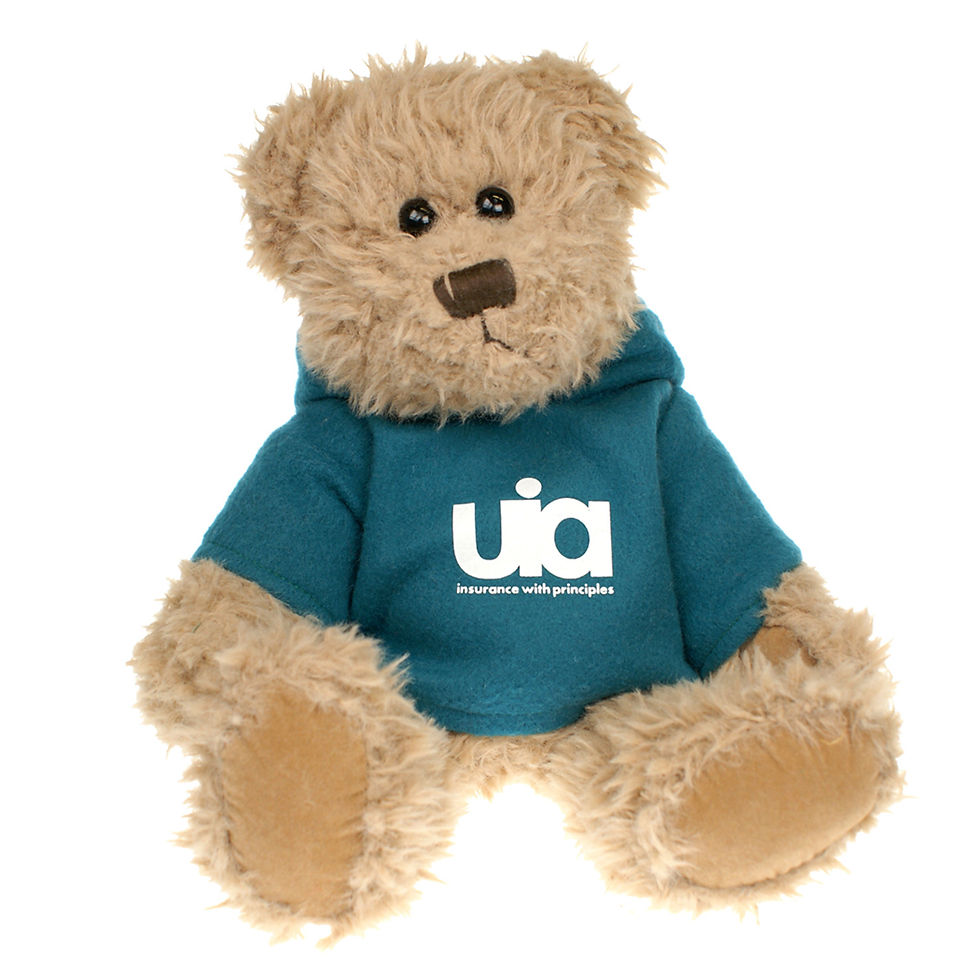 Thumbnail: 25cm Windsor Bear