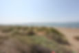 Alameda Geomorphology and Ecology Study