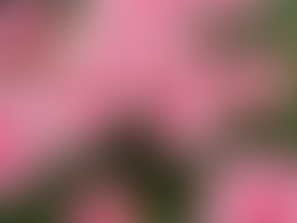 The Nervous System & Manifestation: Working With The Body to Unblock The Mind