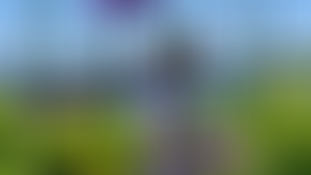 Abundance Mindset: Unlocking the Power to Manifest Your Dreams