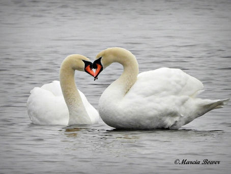 A Soul‑Midwife’s Truth About “Dying Alone”