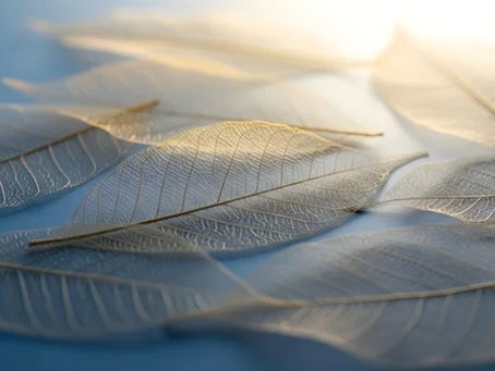 How to Create a Holistic Advance Care Plan