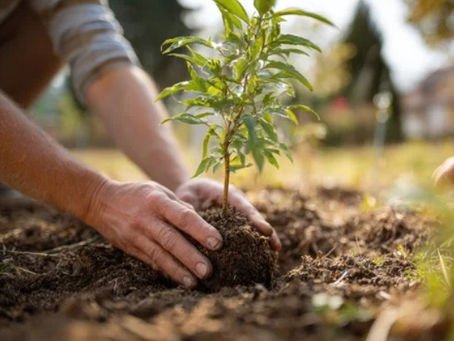 The Art of Living Well: 7 Rituals for a Legacy That Heals