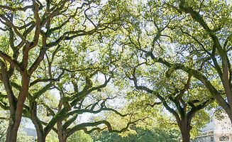 DSC_0183_edited.jpg