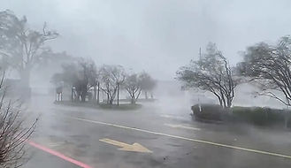 trees in storm.jpg