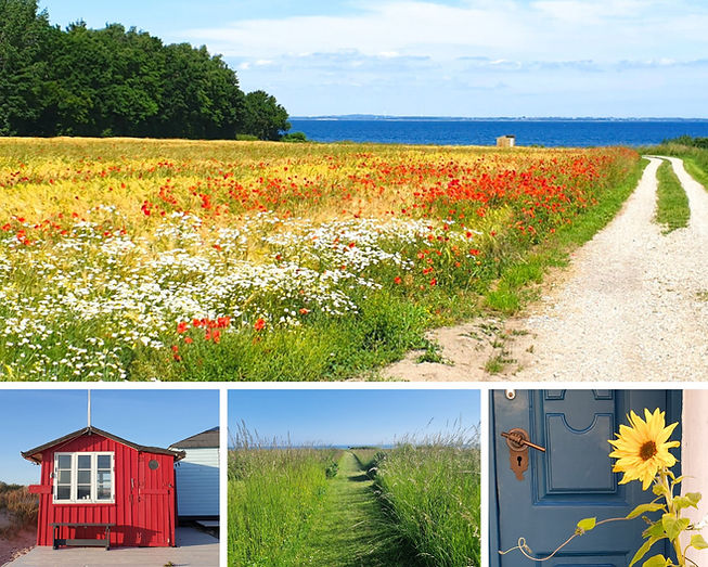 aeroe dänemark