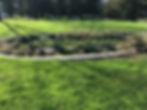 Rain garden SuDS