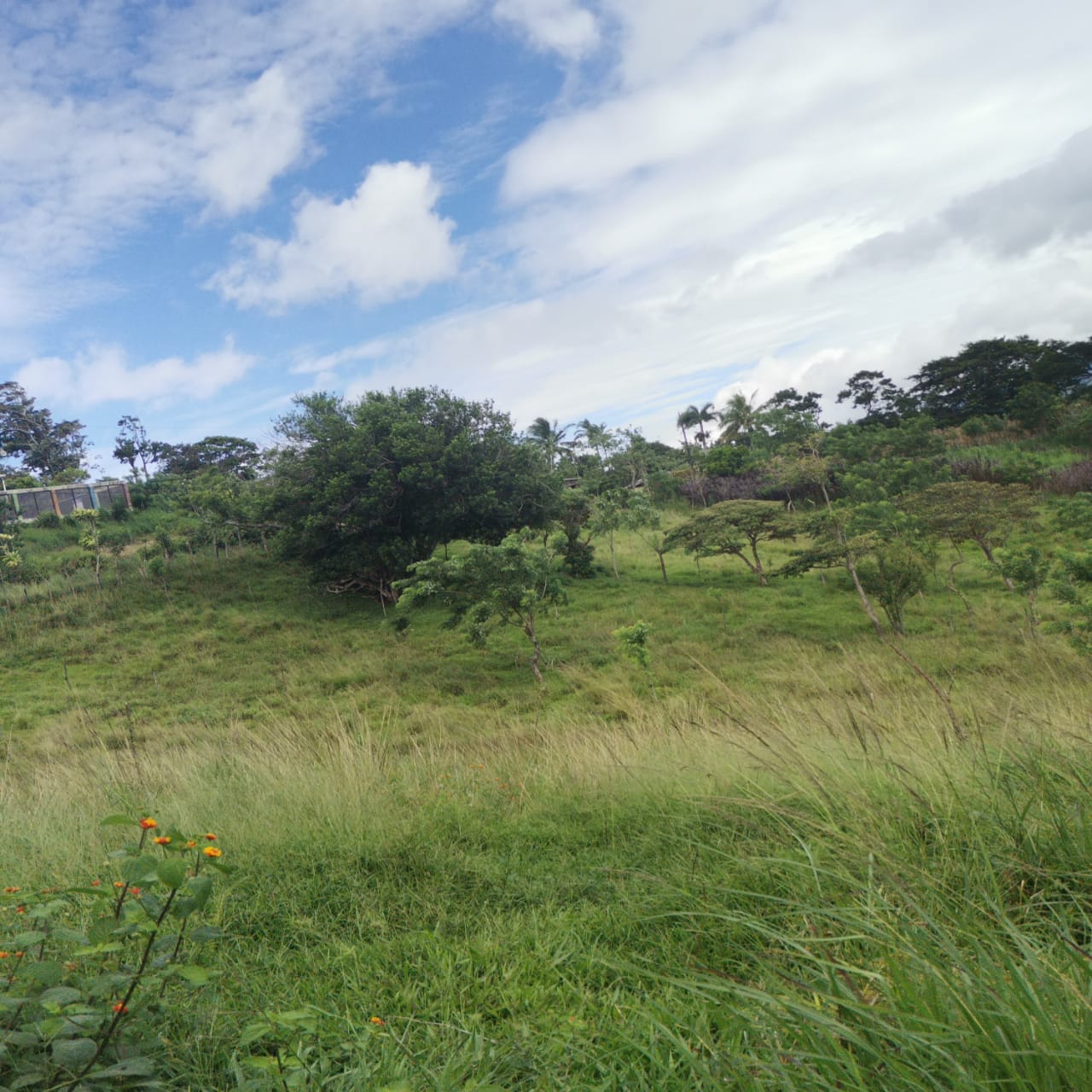 Large, Lake and Volcano View Parcel with Modest Tico Home and LAKE ACCESS 