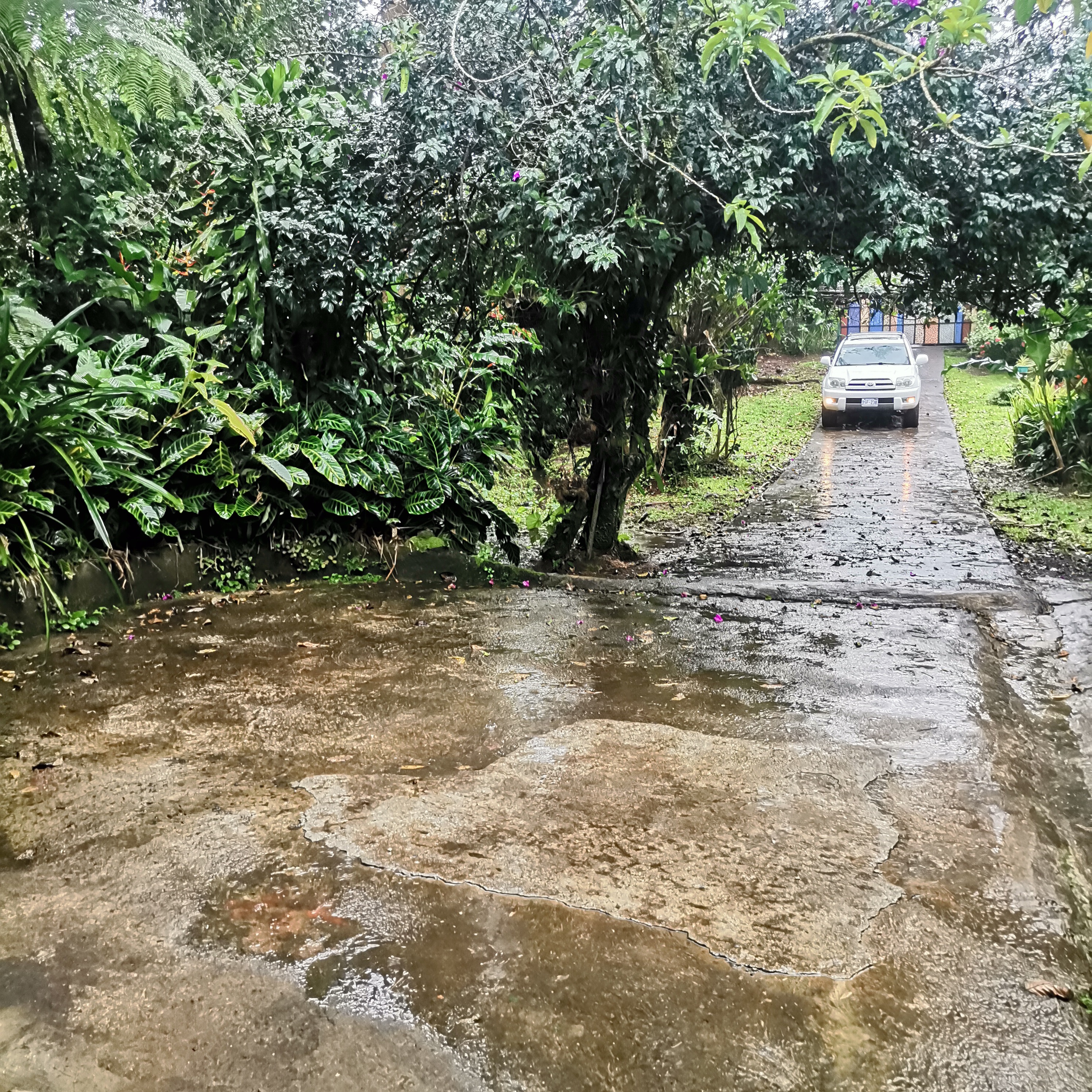 Fully Furnished, Artist Designed Home w/ Private Jungle In Nuevo Arenal