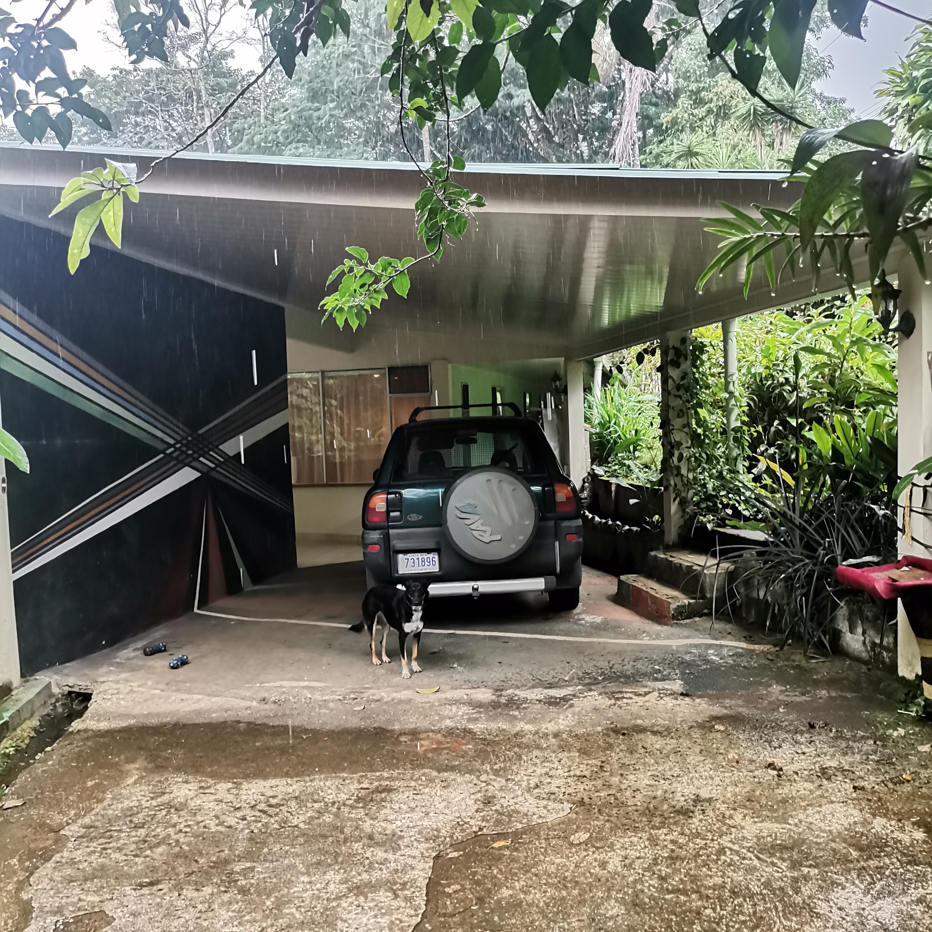 Fully Furnished, Artist Designed Home w/ Private Jungle In Nuevo Arenal