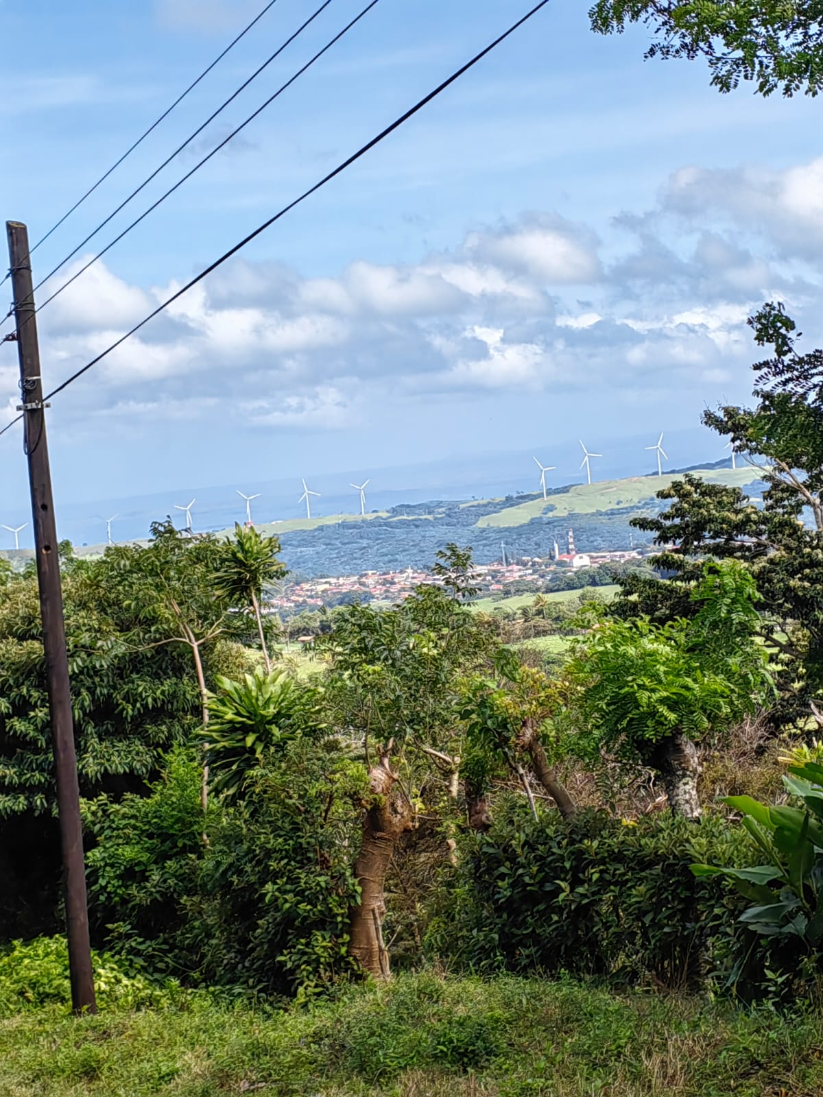 11,800m2 Producing Fruit Farm with Private Well + Modest Tico Home 