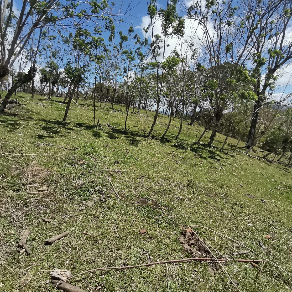 12,510 M2 (3.09 acre) LAKE VIEW Property with Volcano Views in Tronadora 