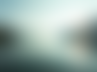 Cultivate Emotional Balance for Optimal Professional Performance