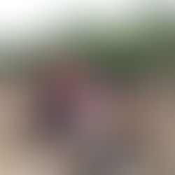 YOUNG VISIONARIES AND OLD DREAMERS