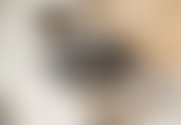 5 Tips in Optimizing Your Gmail Account