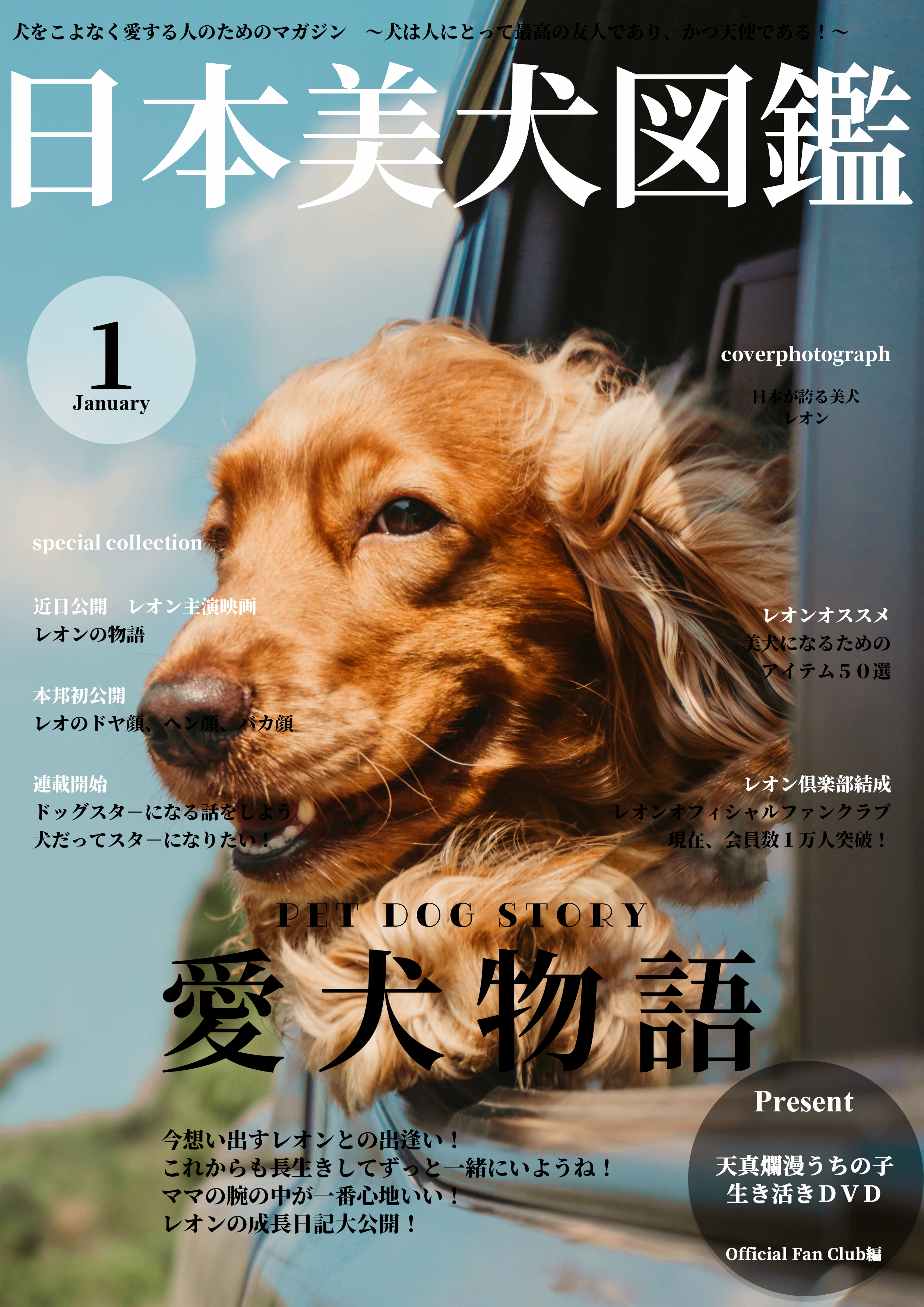 日本美犬図鑑
