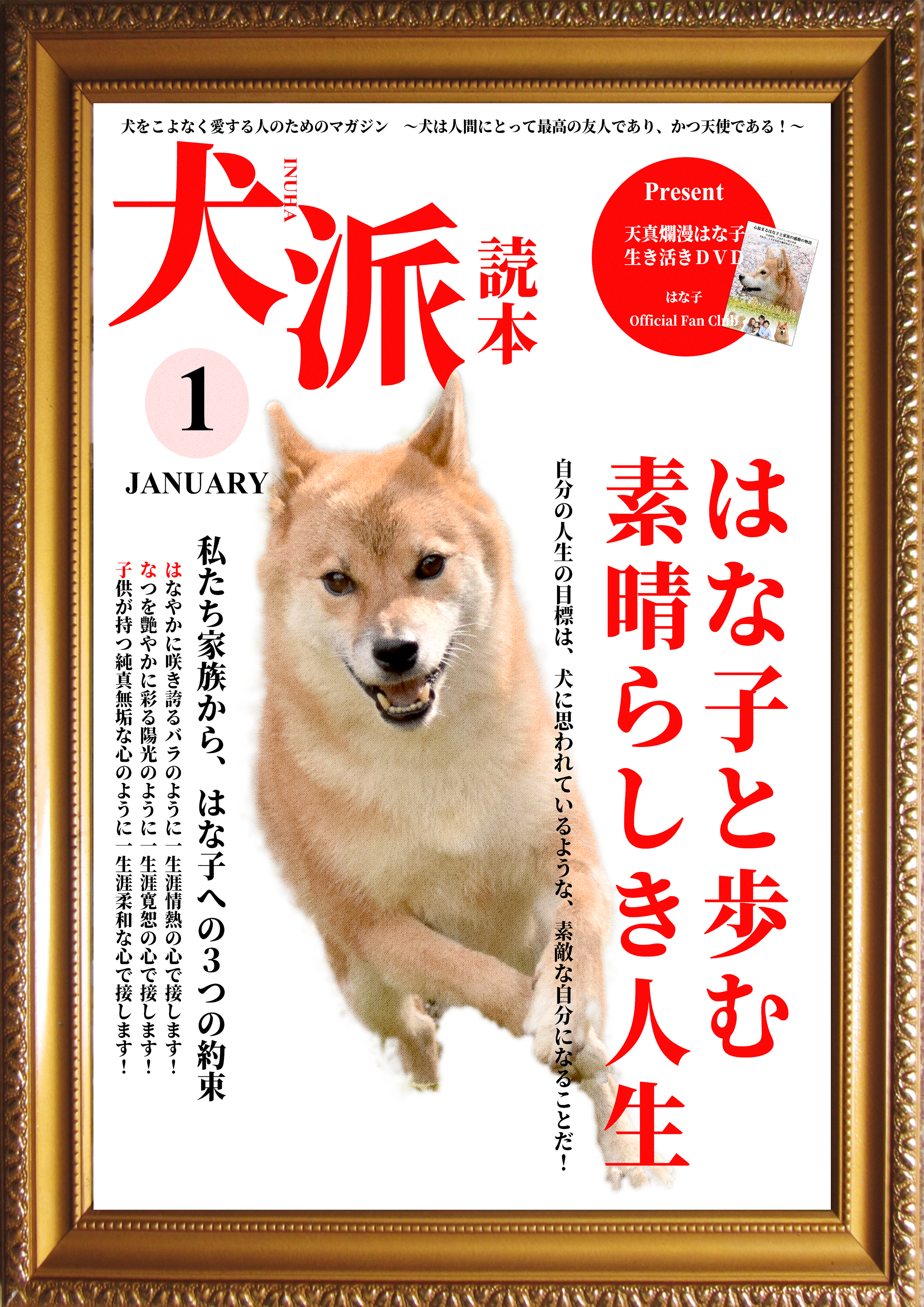 犬派読本