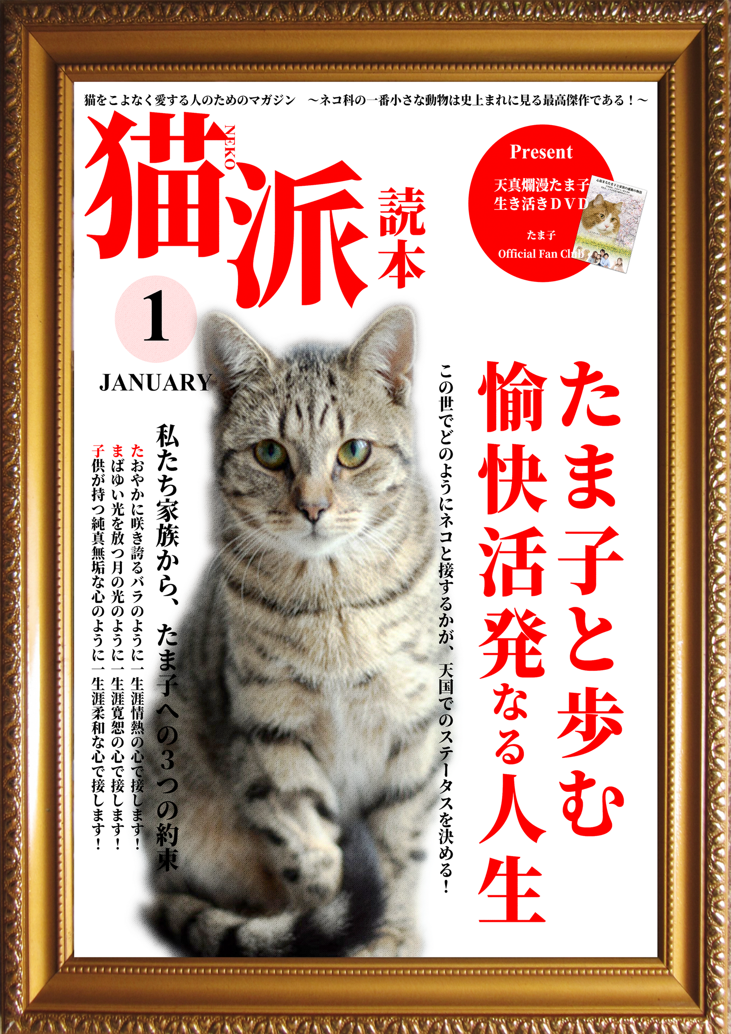 猫派読本