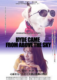 ペットポスター　動物映画ポスター風