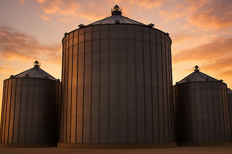 ChatGPT Image 23 de mai_edited.jpg