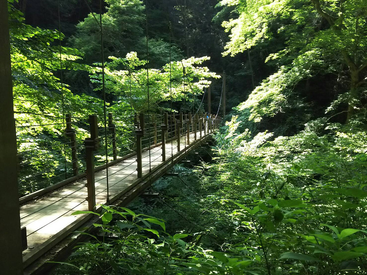 つり橋