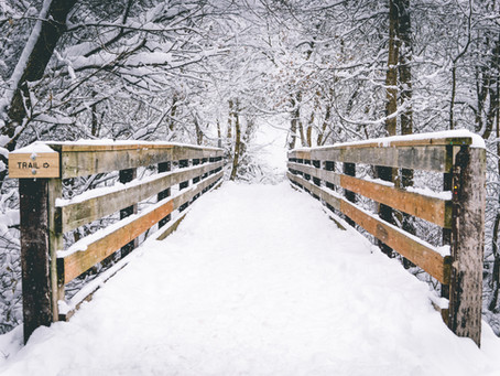 "Snow Days" in the South, Am I Right?