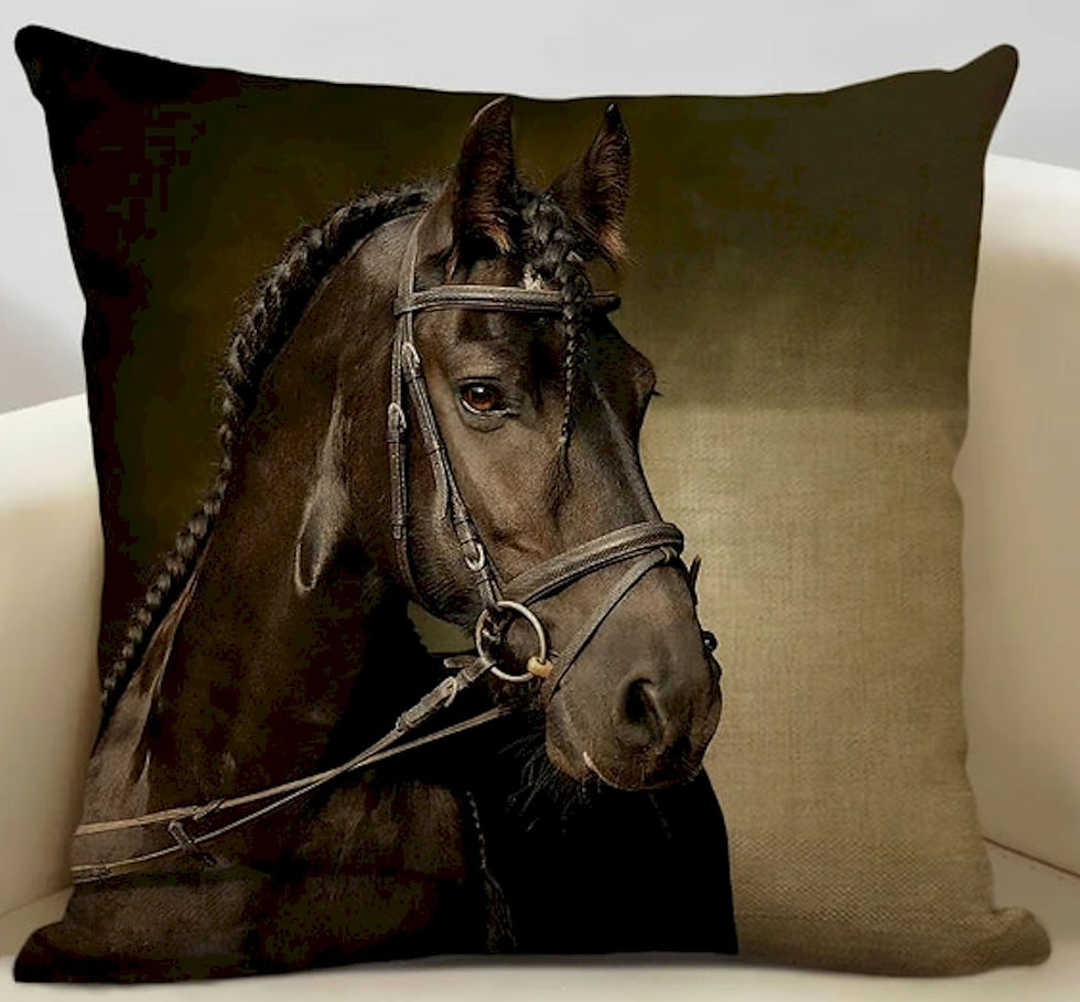 War horse with head dress