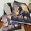 Thumbnail: Beautiful Horse Equestrian Pillow Cover 18" x 18" and Matching Tote
