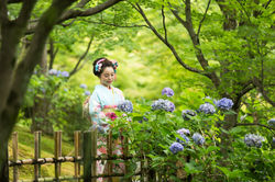 sewa kimono kyoto