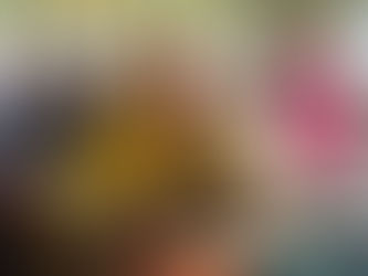 The ALEF method in Ethiopia