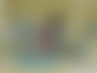 تخريج دورة فكرية ثقافية في الشهباء.