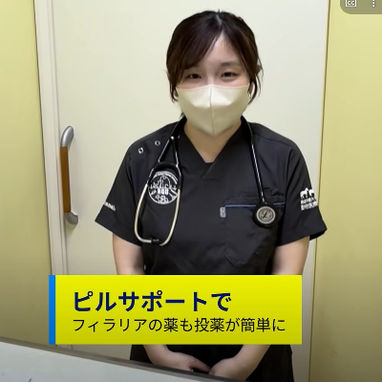 フィラリア予防の季節がやってきました。愛犬を守るために知っておきたいこと