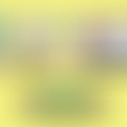 ℹ️ピルサポート賞味期限延長のご案内