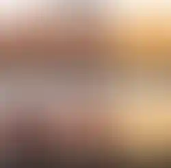 完全無添加ペットのおやつ