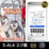 アラペット《ピルサポート蝦夷鹿＋5-ALA》世界初の5-ALA配合動物用チュアブルサプリです。北海道産エゾ鹿肉を主原料に、抗酸化アミノ酸「5-ALA」と吸収率の高いヘム鉄を配合し、犬猫の健康維持に寄与します