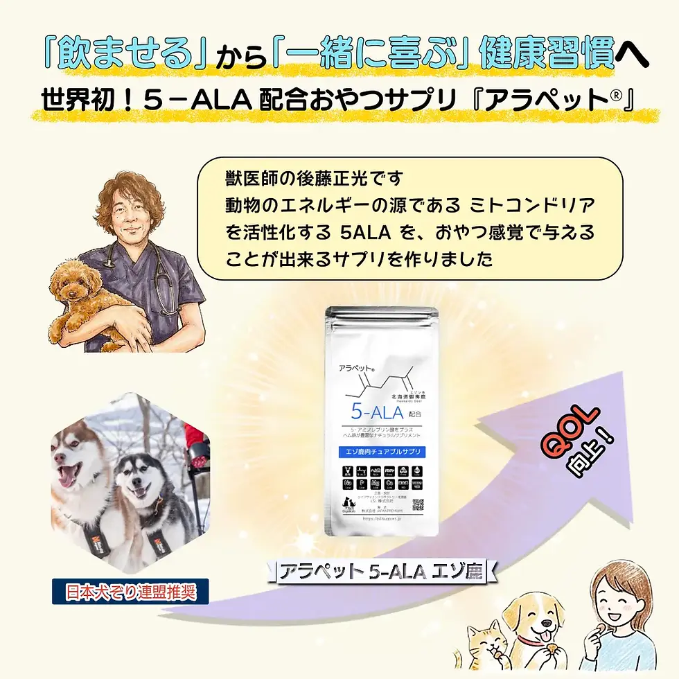 サムネイル： (個)アラペット 5-ALA エゾ鹿 糖類ゼロ グルテンフリー