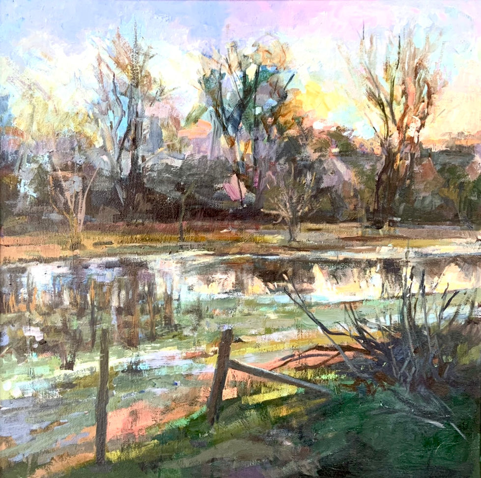 Dartington Water meadows in flood