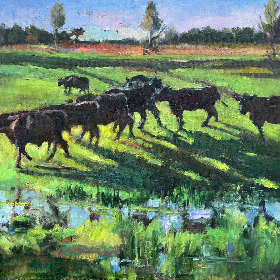 "Dexters" in Northington water meadows (near Winchester)