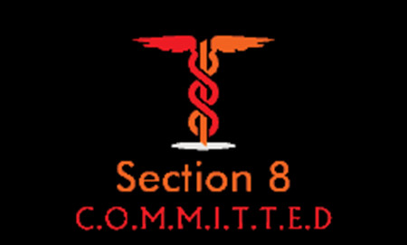Section 8 Guitars