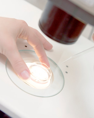 Embryologist Adding Sperm to Egg