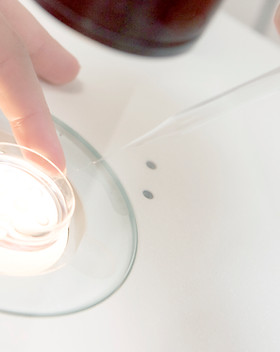 Embryologist Adding Sperm to Egg