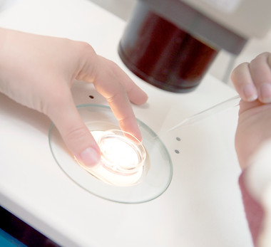 Embryologist Adding Sperm to Egg