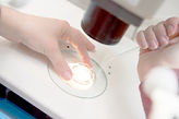 Embryologiste Ajout de sperme à oeuf