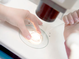 Endocrinologist adding sperm to a petridish
