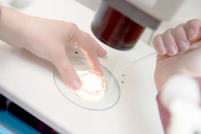 Embryologist Adding Sperm to Egg