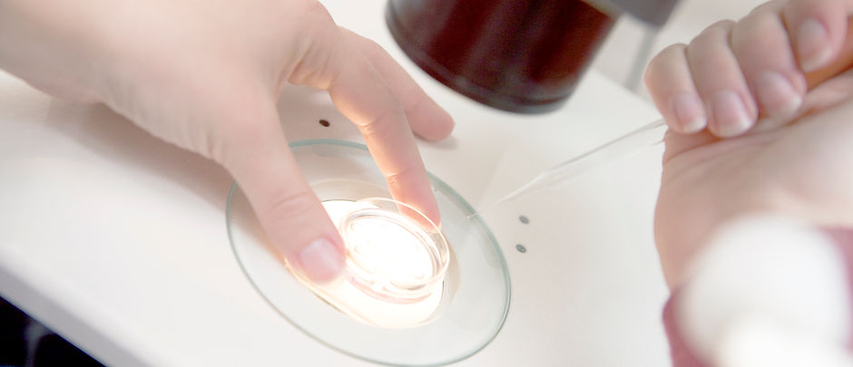 Embryologist Adding Sperm to Egg