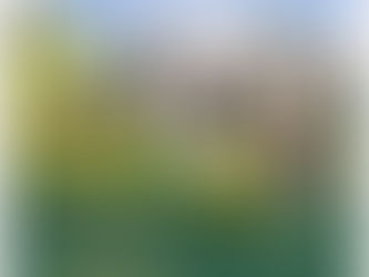 3rd Annual Republican Invitational Golf & Luncheon